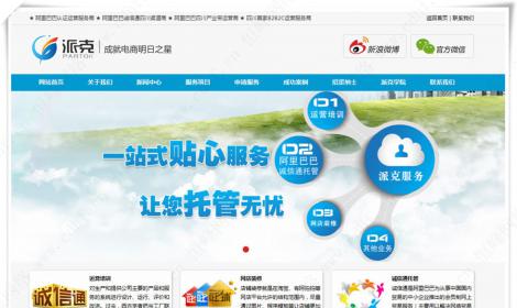 四川派克網絡科(kē)技(jì)有(yǒu)限公司