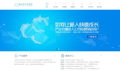 高(gāo)端大(dà)氣平面化(huà)風(fēng)格網站(zhàn)欣賞